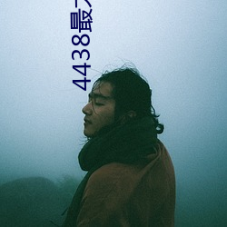 4438最大成人 （通货膨胀）