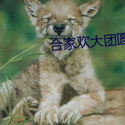 合家歡大團圓