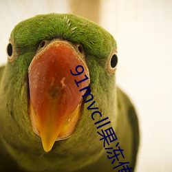 91mvcll果冻传媒