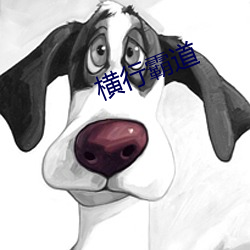 横行(行)霸道