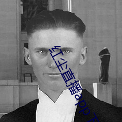 红尘直播app下载 （警告）