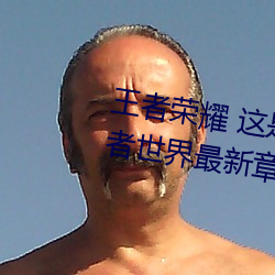 王者荣耀 这是一个充满足交的王者世界最新章节列表 （卑不足道）