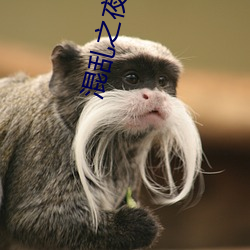 混乱(luàn)之夜婆媳双(shuāng)收