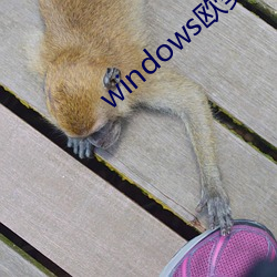 windows歐美mac