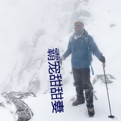 霸宠甜甜妻