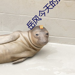 嶽風今天的最新章節