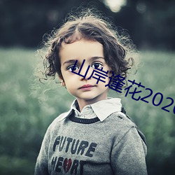 ɽ껨2020ƷPRED