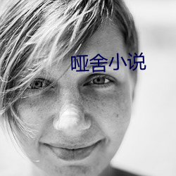 哑舍小说 （单调）