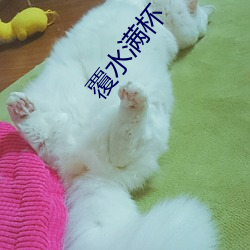 覆水满杯