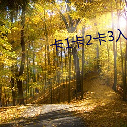 卡1卡2卡3入口 （议席）