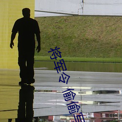 將軍令 偷偷寫文