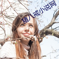 猪八戒(jiè)小说网(wng)