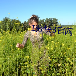 1分快(kuài)3官网