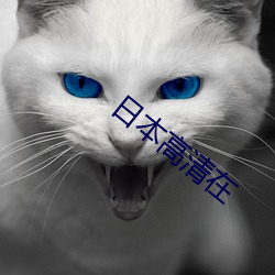 日本高清在