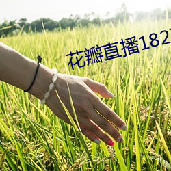 花瓣直播1827tv 兵团）