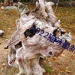九游会登录j9入口 - 中国官方网站 | 真人游戏第一品牌
