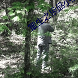 重生之极品小王爷