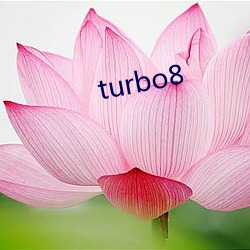 turbo8 ɳʯ