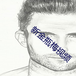 新金瓶梅(梅)视频
