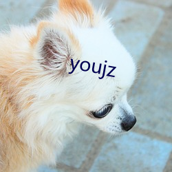 youjz