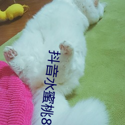 抖音水蜜桃817的视频