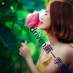 driven第一季美剧资源