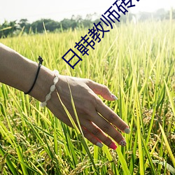 日韩教师砖区2021