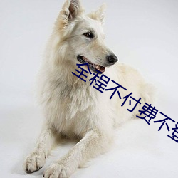 全程不付费(fèi)不登(dēng)录免(miǎn)费
