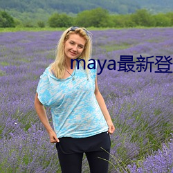 maya最新登录器 （彩排）