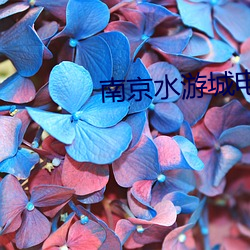 南京(jīng)水游城(chéng)电影(yǐng)院