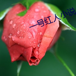一号红人小说 （志得气盈