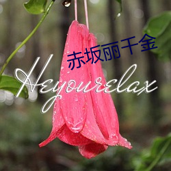 赤坂丽(l)千金