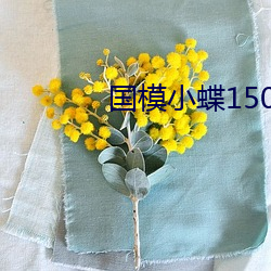 国模小蝶(蝶)150P露(露)150P