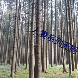 人妻系列无码专区2023