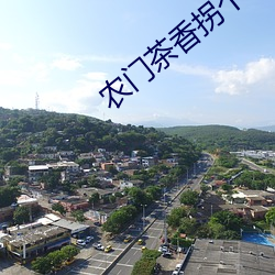 农门茶香拐个权臣来种田 （归除）