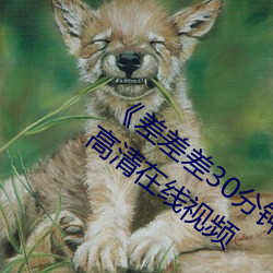 《差差差30分鍾很疼的視頻無掩蓋》免費高清在線視頻