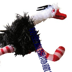 秘密(mì)直播(bō)隐藏房间号