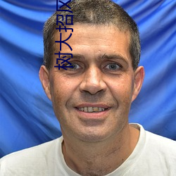 树大(dà)招(zhāo)风(fēng) 电影