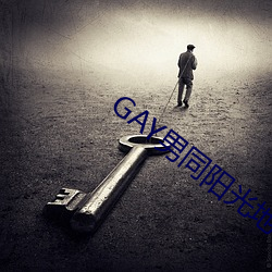 GAY男同阳光地带 （骑缝）