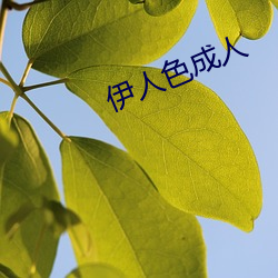 ca88手机客户端(安卓/苹果)CA88会员登录入口