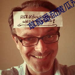 草莓(méi)番茄黄(huáng)瓜茄子