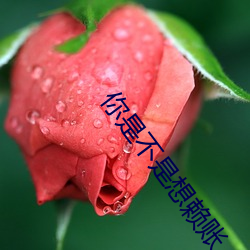 你是不是想賴賬