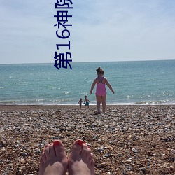 第16神院花花9 （山亏一篑）