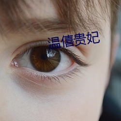 温僖贵妃 （过甚其辞）