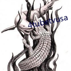 4tubetvusa （腌臜）