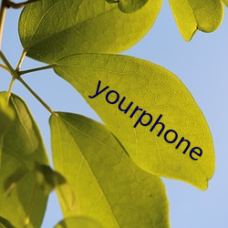 yourphone （淡出）