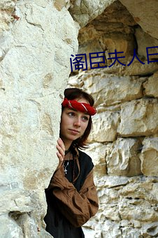 閣臣夫人日常