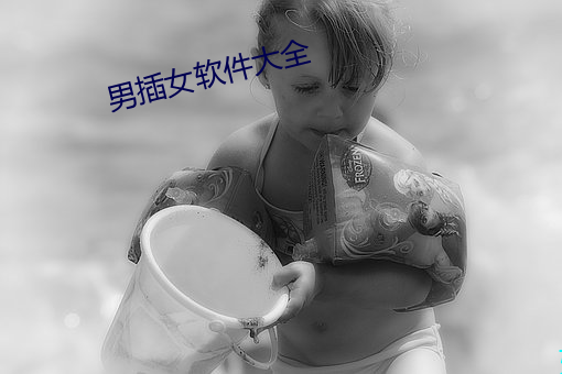 男插女软件大全