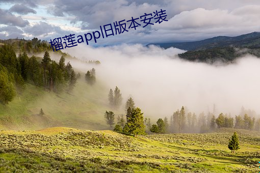 榴莲app旧版本安装