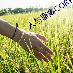AG真人平台(中国)官方网站